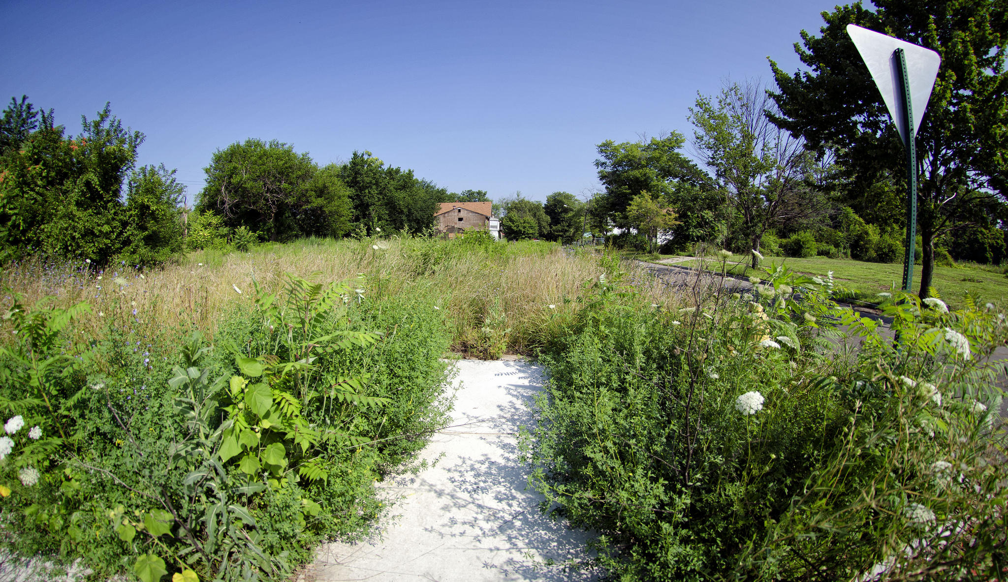 vacant_lots_detroit_flickr